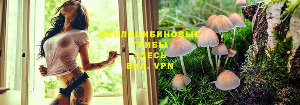 а пвп мука Нея